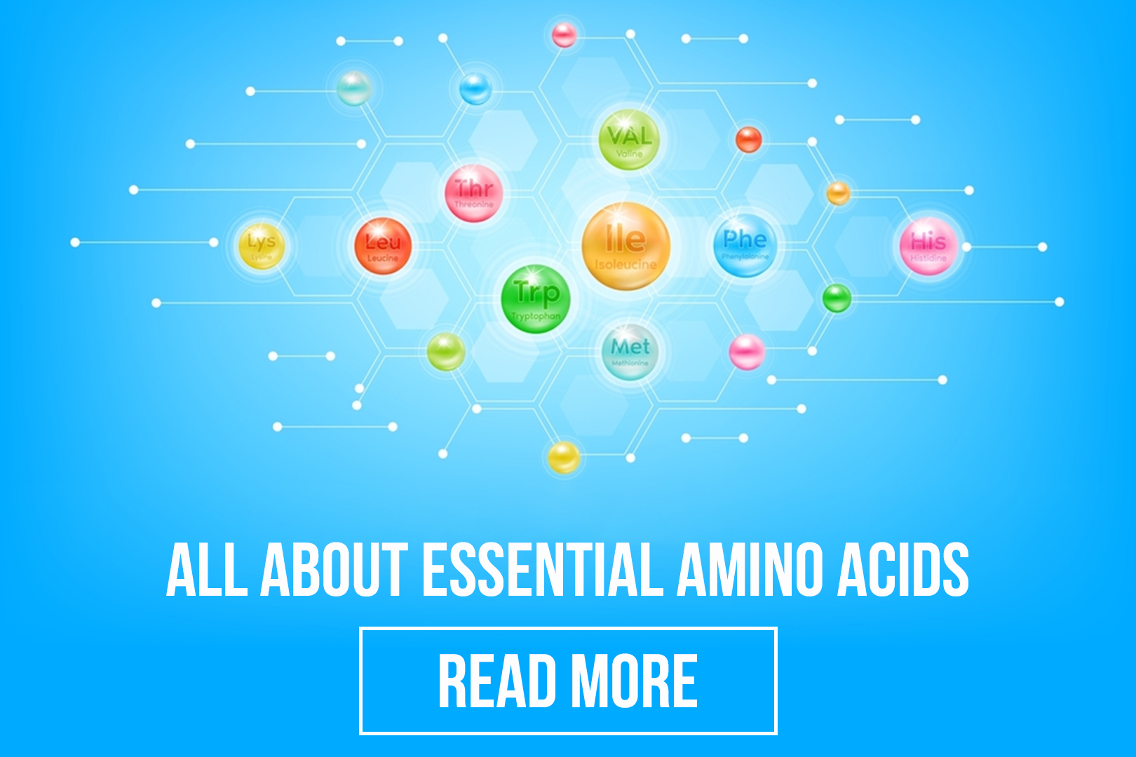 Essential Amino Acids